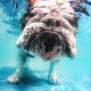 рок.jpg (3463 просмотра) <a class='original' href='./download/file.php?id=139532&mode=view' target=_blank>Загрузить оригинал (124.19 КБ)</a>