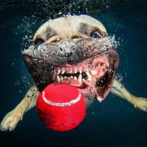 45432121.jpg (3463 просмотра) <a class='original' href='./download/file.php?id=139533&mode=view' target=_blank>Загрузить оригинал (87.8 КБ)</a>