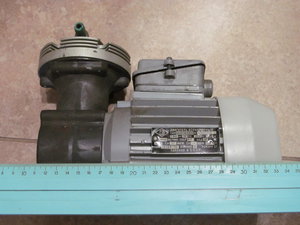 IMG_4087.JPG (3644 просмотра) <a class='original' href='./download/file.php?id=140137&mode=view' target=_blank>Загрузить оригинал (3.02 МБ)</a>