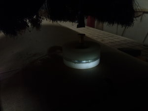 IMG_20180515_144131.jpg (6975 просмотров) <a class='original' href='./download/file.php?id=140146&mode=view' target=_blank>Загрузить оригинал (1.96 МБ)</a>