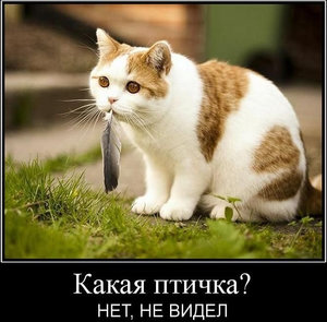 37455_595.jpg (3281 просмотр) <a class='original' href='./download/file.php?id=141122&mode=view' target=_blank>Загрузить оригинал (87.63 КБ)</a>