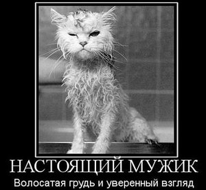 37455_606.jpg (3281 просмотр) <a class='original' href='./download/file.php?id=141123&mode=view' target=_blank>Загрузить оригинал (36.17 КБ)</a>