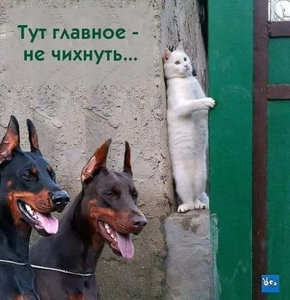 image (3).jpg (3345 просмотров) <a class='original' href='./download/file.php?id=141313&mode=view' target=_blank>Загрузить оригинал (85.67 КБ)</a>