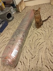 IMG_20180628_232905.jpg (5674 просмотра) <a class='original' href='./download/file.php?id=141980&mode=view' target=_blank>Загрузить оригинал (2.71 МБ)</a>