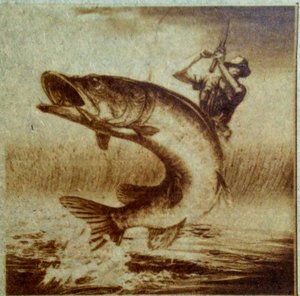 IMG_20180702_150612.jpg (2644 просмотра) <a class='original' href='./download/file.php?id=142219&mode=view' target=_blank>Загрузить оригинал (1.23 МБ)</a>