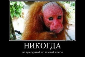 post-125698-0-31449500-1530947433.jpg (3120 просмотров) <a class='original' href='./download/file.php?id=142470&mode=view' target=_blank>Загрузить оригинал (172.37 КБ)</a>