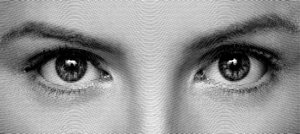 Zebratrace - Bitmap to Vector Conversion. (16053 просмотра) <a class='original' href='./download/file.php?id=14309&mode=view' target=_blank>Загрузить оригинал (79.73 КБ)</a>