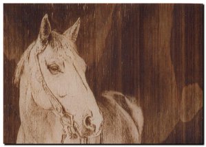 лошадь темная.jpg (3321 просмотр) <a class='original' href='./download/file.php?id=143109&mode=view' target=_blank>Загрузить оригинал (355.27 КБ)</a>