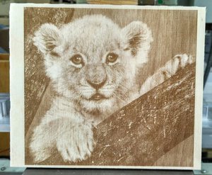 IMG_20180724_113812.jpg (3121 просмотр) <a class='original' href='./download/file.php?id=143292&mode=view' target=_blank>Загрузить оригинал (2.05 МБ)</a>