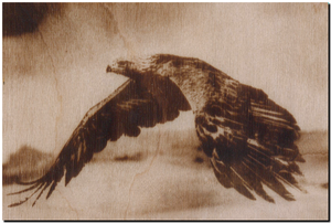 орел.png (2180 просмотров) <a class='original' href='./download/file.php?id=143867&mode=view' target=_blank>Загрузить оригинал (329.33 КБ)</a>