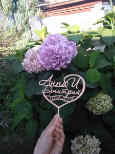 IMG_20180803_180945.jpg (2405 просмотров) <a class='original' href='./download/file.php?id=143936&mode=view' target=_blank>Загрузить оригинал (3.9 МБ)</a>