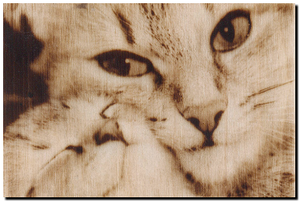 кошка и котенок.png (2042 просмотра) <a class='original' href='./download/file.php?id=143970&mode=view' target=_blank>Загрузить оригинал (374.72 КБ)</a>