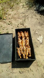 WhatsApp Image 2018-08-06 at 14.49.25.jpeg (3116 просмотров) <a class='original' href='./download/file.php?id=144085&mode=view' target=_blank>Загрузить оригинал (236.41 КБ)</a>