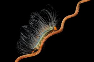 010A5539.JPG (9072 просмотра) <a class='original' href='./download/file.php?id=145148&mode=view' target=_blank>Загрузить оригинал (115.67 КБ)</a>