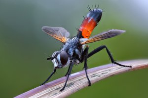 2018-07-15-22.05.26 ZS retouched.jpg (9072 просмотра) <a class='original' href='./download/file.php?id=145151&mode=view' target=_blank>Загрузить оригинал (208.9 КБ)</a>