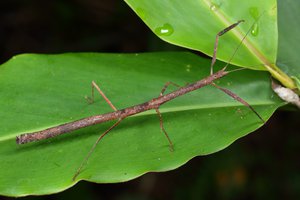 00003241.JPG (9116 просмотров) <a class='original' href='./download/file.php?id=145153&mode=view' target=_blank>Загрузить оригинал (221.63 КБ)</a>