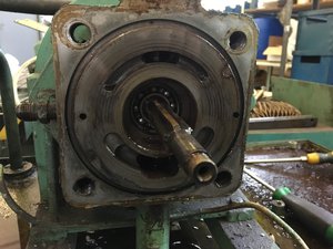 IMG_0823.JPG (9180 просмотров) <a class='original' href='./download/file.php?id=145230&mode=view' target=_blank>Загрузить оригинал (1.53 МБ)</a>