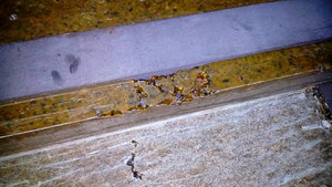 P_20181003_170713.jpg (4564 просмотра) <a class='original' href='./download/file.php?id=147636&mode=view' target=_blank>Загрузить оригинал (1.84 МБ)</a>