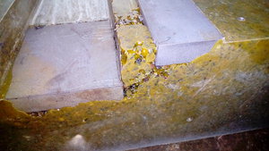 P_20181003_170732.jpg (4564 просмотра) <a class='original' href='./download/file.php?id=147638&mode=view' target=_blank>Загрузить оригинал (1.42 МБ)</a>