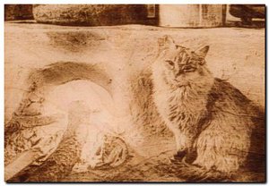 кошка на печке.jpg (77205 просмотров) <a class='original' href='./download/file.php?id=147664&mode=view' target=_blank>Загрузить оригинал (45.76 КБ)</a>