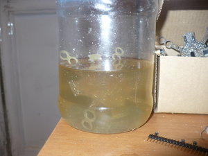 P1060473.JPG (11479 просмотров) <a class='original' href='./download/file.php?id=14856&mode=view' target=_blank>Загрузить оригинал (3 МБ)</a>