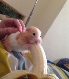 9j0TLZzrN9Q.jpg (2660 просмотров) <a class='original' href='https://cnc-club.ru/forum/download/file.php?id=148665&mode=view' target=_blank>Загрузить оригинал (40.86 КБ)</a>