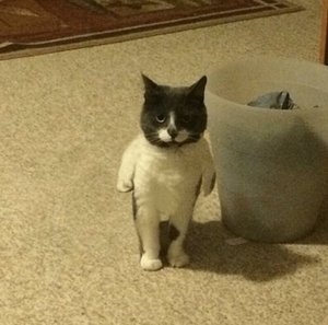 531982970a2f2706140da456bc8890cf.jpg (3058 просмотров) <a class='original' href='./download/file.php?id=148792&sid=e3df7884c8be7d920a196197eda40ed0&mode=view' target=_blank>Загрузить оригинал (107.13 КБ)</a>