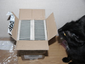 P1000414.JPG (4163 просмотра) <a class='original' href='./download/file.php?id=149611&mode=view' target=_blank>Загрузить оригинал (6.89 МБ)</a>