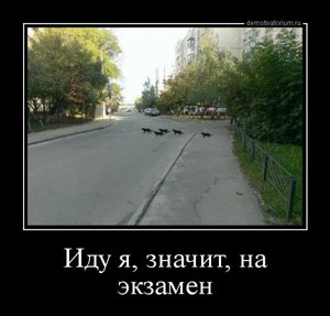 1539932071_demotivatory-1.jpg.91b71de932ba2520b2af32709966bb01.jpg (3039 просмотров) <a class='original' href='./download/file.php?id=150080&mode=view' target=_blank>Загрузить оригинал (38.44 КБ)</a>