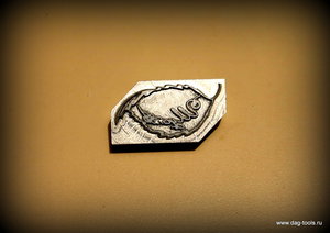 IMG_8150.JPG (3120 просмотров) <a class='original' href='./download/file.php?id=150596&mode=view' target=_blank>Загрузить оригинал (204.25 КБ)</a>