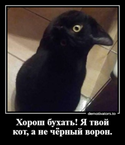 demotivato_6377009_30942943.png (3342 просмотра) <a class='original' href='./download/file.php?id=150877&mode=view' target=_blank>Загрузить оригинал (110.14 КБ)</a>