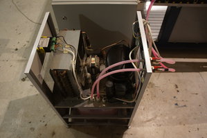 DSC01545.JPG (2301 просмотр) <a class='original' href='./download/file.php?id=151058&mode=view' target=_blank>Загрузить оригинал (4.44 МБ)</a>