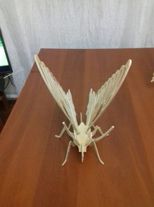 0-02-04-08c6550a7c6d2b1aa97f93379530787598bcd056da161d8edac7a623f98212da_f1bf7a64.jpg (3140 просмотров) <a class='original' href='./download/file.php?id=151657&mode=view' target=_blank>Загрузить оригинал (160.85 КБ)</a>