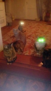 IMG-20181204-WA0005.jpg (3029 просмотров) <a class='original' href='./download/file.php?id=152200&mode=view' target=_blank>Загрузить оригинал (38.42 КБ)</a>