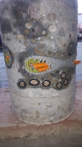 12383779.jpg (3449 просмотров) <a class='original' href='./download/file.php?id=152295&mode=view' target=_blank>Загрузить оригинал (192.21 КБ)</a>