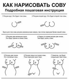 670875106_.jpg.c5384fe7fd834cc83c42b038775bd223сова 1.jpg (3444 просмотра) <a class='original' href='./download/file.php?id=152296&mode=view' target=_blank>Загрузить оригинал (47.85 КБ)</a>