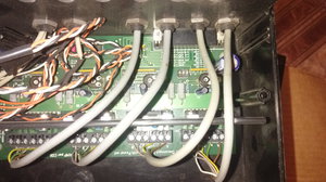 IMAG0247[1].jpg (2273 просмотра) <a class='original' href='./download/file.php?id=153503&mode=view' target=_blank>Загрузить оригинал (2.78 МБ)</a>