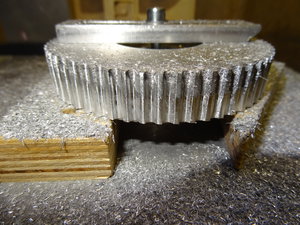 DSC05408.JPG (13349 просмотров) <a class='original' href='./download/file.php?id=154177&mode=view' target=_blank>Загрузить оригинал (6.21 МБ)</a>