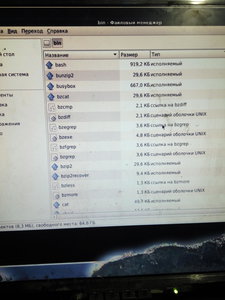 IMG_20190203_160729.jpg (5564 просмотра) <a class='original' href='./download/file.php?id=156126&mode=view' target=_blank>Загрузить оригинал (2.1 МБ)</a>