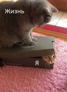 TvdHDSjv17U.jpg (3515 просмотров) <a class='original' href='./download/file.php?id=157364&mode=view' target=_blank>Загрузить оригинал (104.58 КБ)</a>