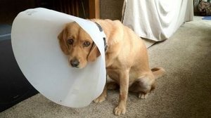 1.jpg (2006 просмотров) <a class='original' href='./download/file.php?id=15766&mode=view' target=_blank>Загрузить оригинал (32.81 КБ)</a>