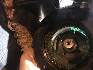 72D585D1-C389-4DAB-8983-CBE9FB52F338.jpeg (3169 просмотров) <a class='original' href='./download/file.php?id=157996&mode=view' target=_blank>Загрузить оригинал (2.23 МБ)</a>