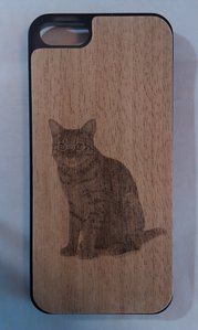 Cat_Apple.jpg (2913 просмотров) <a class='original' href='./download/file.php?id=160398&mode=view' target=_blank>Загрузить оригинал (4.53 МБ)</a>