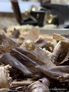 IMG_1792.jpg (6837 просмотров) <a class='original' href='./download/file.php?id=160494&mode=view' target=_blank>Загрузить оригинал (297.62 КБ)</a>