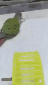 1554526452115453962.gif (3447 просмотров) <a class='original' href='./download/file.php?id=160681&mode=view' target=_blank>Загрузить оригинал (3.25 МБ)</a>