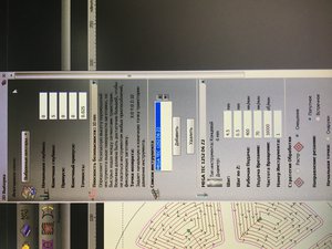 52ADB7E6-A63A-4588-A9E5-7C3AFFE3CDD2.jpeg (6305 просмотров) <a class='original' href='./download/file.php?id=160709&mode=view' target=_blank>Загрузить оригинал (5.51 МБ)</a>