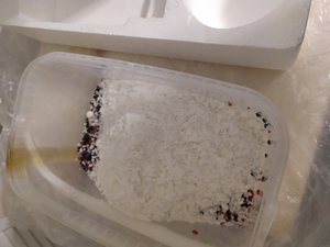 IMG_20190410_211844.jpg (1935 просмотров) <a class='original' href='./download/file.php?id=160728&mode=view' target=_blank>Загрузить оригинал (2.95 МБ)</a>