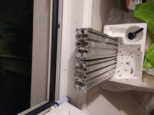 IMG_20190410_221439.jpg (1935 просмотров) <a class='original' href='./download/file.php?id=160730&mode=view' target=_blank>Загрузить оригинал (3.14 МБ)</a>