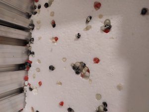 IMG_20190410_222035.jpg (1935 просмотров) <a class='original' href='./download/file.php?id=160731&mode=view' target=_blank>Загрузить оригинал (2.99 МБ)</a>