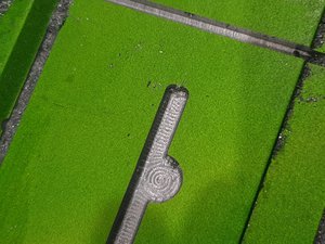 20190420_202223.jpg (4976 просмотров) <a class='original' href='./download/file.php?id=161507&mode=view' target=_blank>Загрузить оригинал (2.62 МБ)</a>